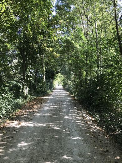 2,5 Zimmer Terassenwohung – Zugang zum Donaustrand