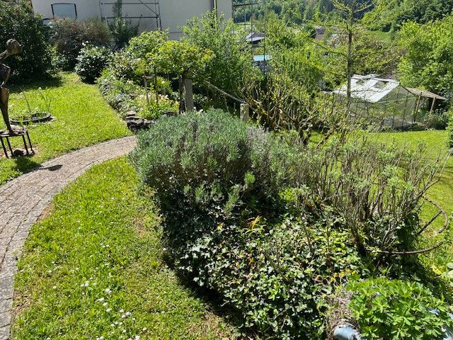Hochwertiges freistehendes Einfamilienhaus mit großem Grundstück in Top-Lage – Foto 13