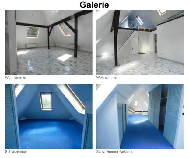 Nurdachwohnung – WJ-00134_bild_005.jpeg