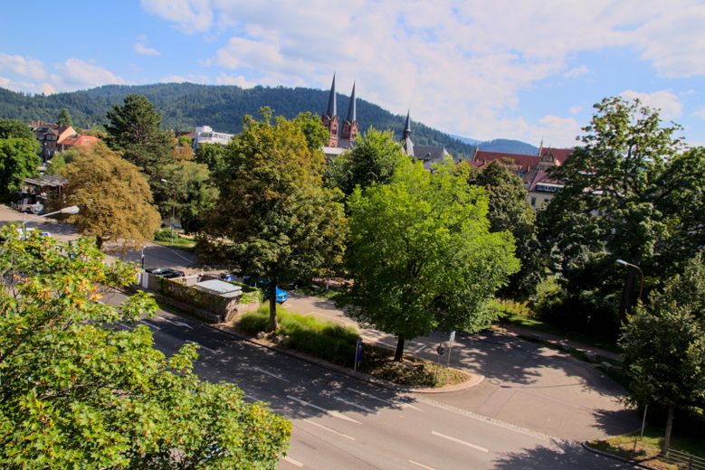 Prov.frei! 1-Zi Altstadt-Wohnung mit Dreisamblick an der Uni! – Aussicht aus dem Fenster
