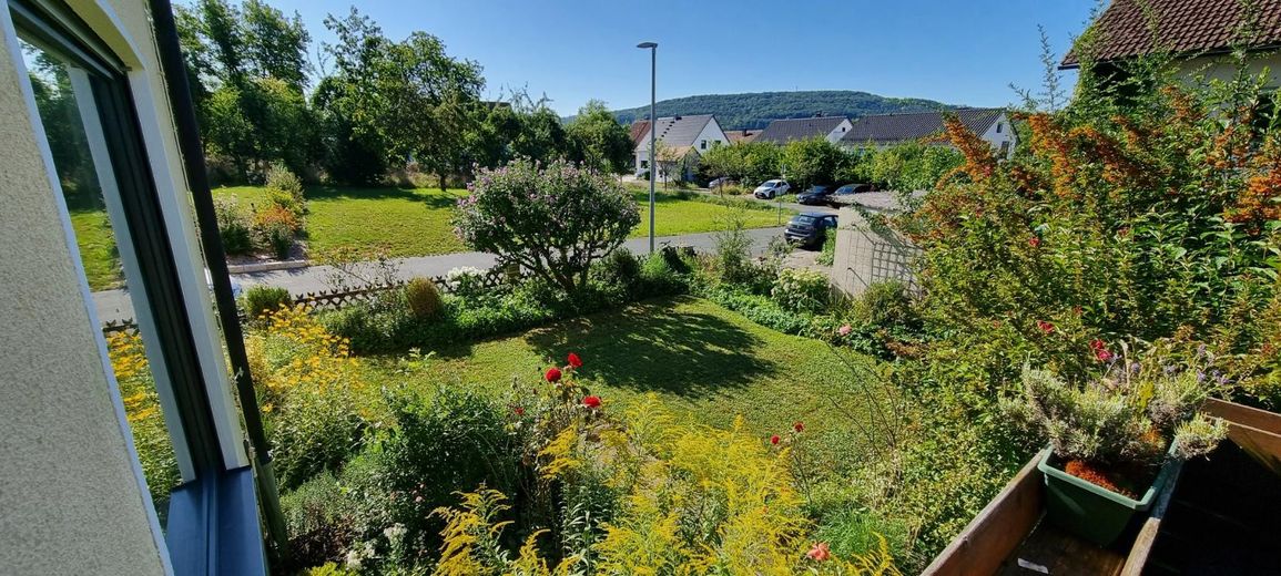 Garten_1