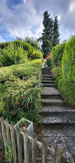Aufgang linke Hausseite