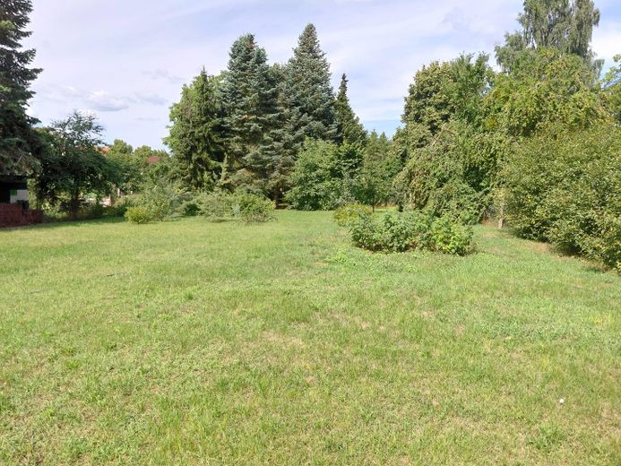 Stilvoll saniertes Herrenhaus auf 3.794 m² Grundstück – Foto 22