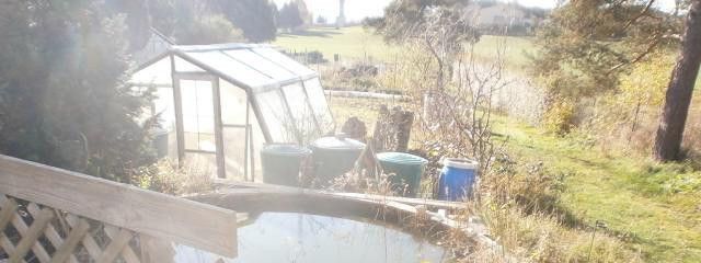 Teich mit Grünfläche