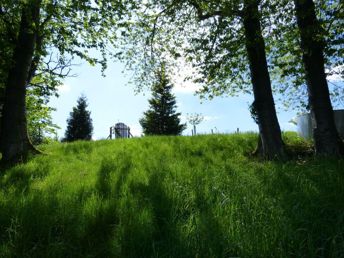 Grundstücksgrenze