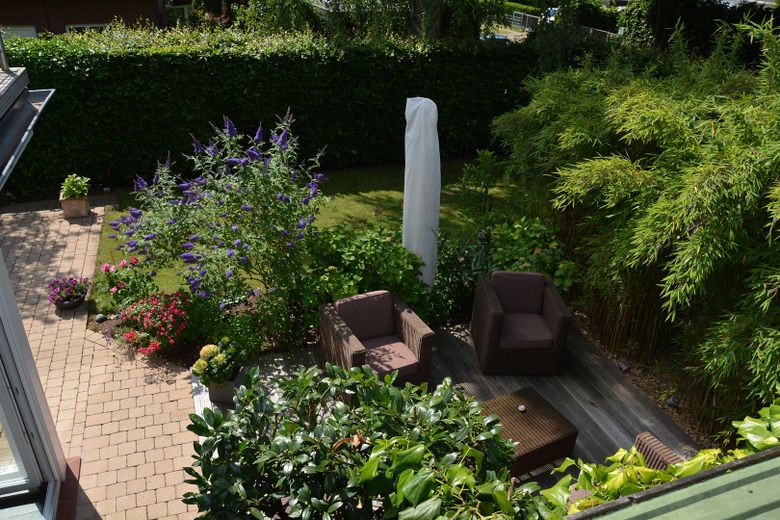 Blick in den Garten