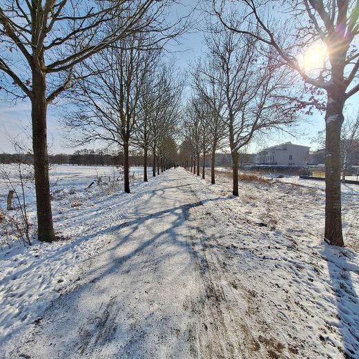 Exklusives Stadthaus am Seerosenpark in Bremen Oberneuland - provisonsfrei! – Winterimpressionen - Allee