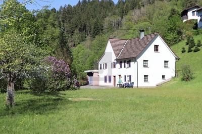 KINZIG NEHRİNİN KIYISINDA YAŞAM – 1788870425_62bf1e.jpg