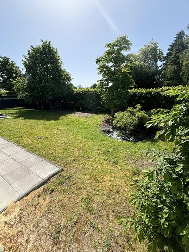 Blick in den Garten