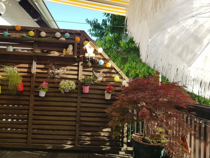 Dachterrasse 1