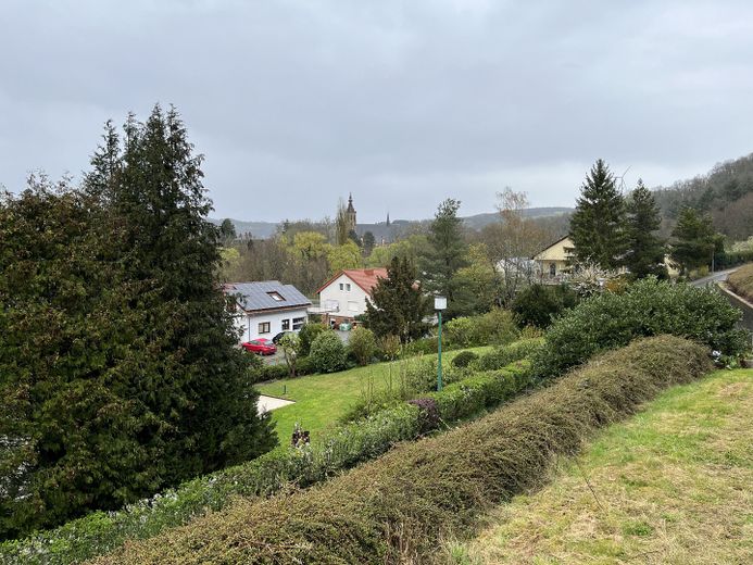 Teil-Möblierte 1,5-Zimmerwohnung mit schönem Blick ins Tal von Meisenheim – Garten und Ausblick