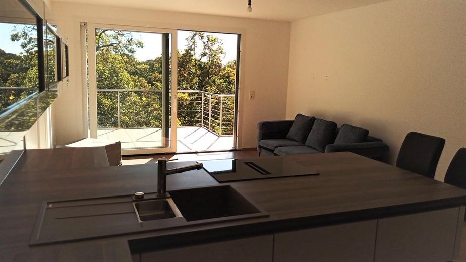 Appartamento di 3,5 locali in nuova costruzione esclusiva a Lohausen – Wohn- Essbereich Dachterrasse