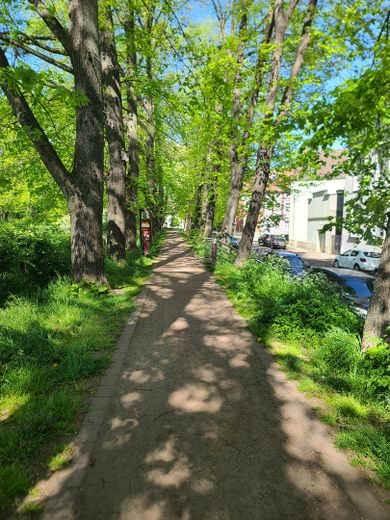 Wohnen direkt am Rhein in Orsoy .... – Wallrundweg 1 Frühling
