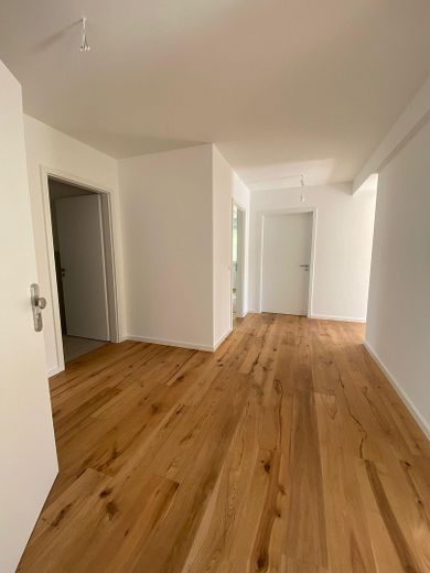 Neue Penthouse-Wohnung mit lichtdurchfluteten Räumen und einem Balkon mit tollem Ausblick – Eingangsbereich
