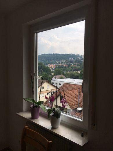 Wohnzimmer Ostfenster