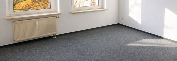 Vermietete Kapitalanlage – 8,45 % Rendite – 1‑Raum‑Wohnung in Weißenfels – Wohn-/Schlafzimmer