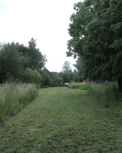 eines der letzten, erhaltenen SCHEUNENGUTSHÄUSER (mit 4-6 ha. Naturgrundstück) – Feld & Flur (gemähter Weg)