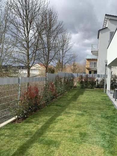 IDSTEIN ❤️ BAUHAUS mit ELW und vielen Möglichkeiten– ohne Handwerker-Nervenzusammenbruch! 🧘‍♂️✨ – Beginn der Gartenbegrünung