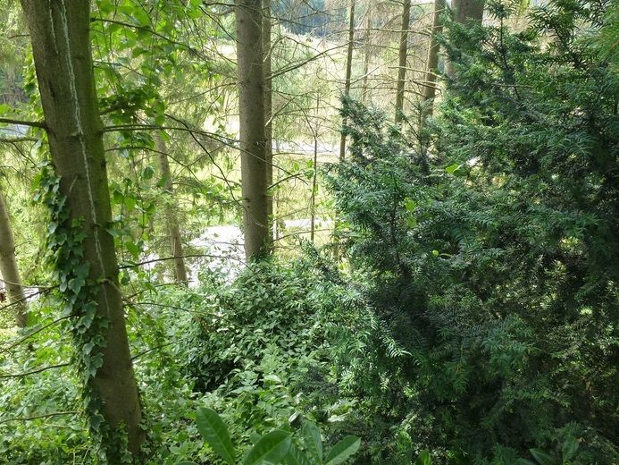 Menden-Asbeck: Grundstück mit Erholungsfaktor - Baugenehmigung inklusive! – Grundstück Menden-Asbeck