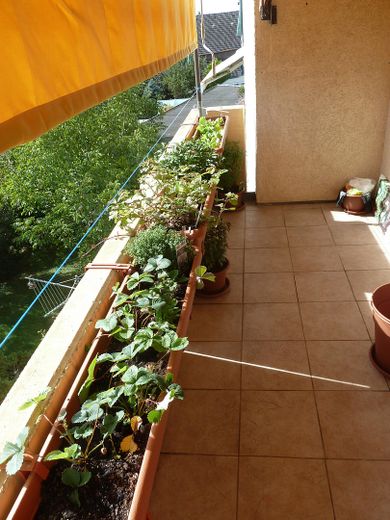 Bright 2-room apartment in a central, quiet location with balcony, loggia, view of greenery and parking space – Balkon