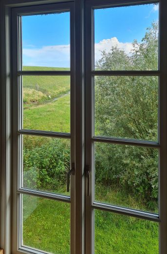 Casa di campagna con tetto di paglia in posizione assolutamente isolata – EG Fensteblick zum Deich