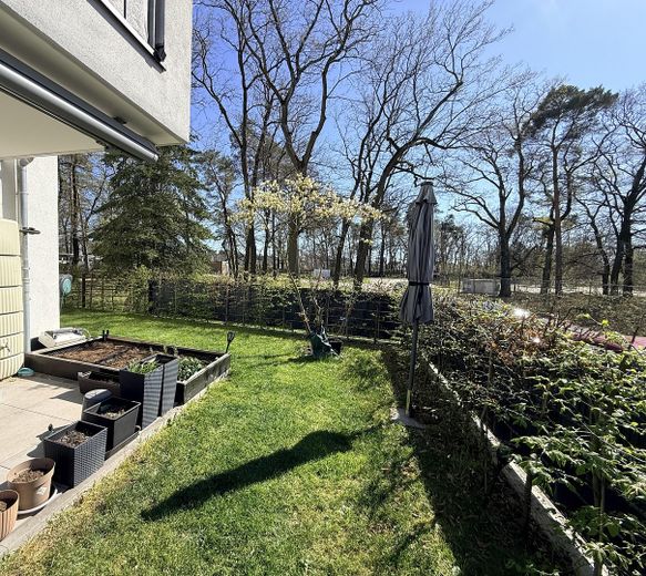 PROVISIONSFREI: 115 m² Familientraum in Top-Lage Hanau-Wolfgang – Garten mit Gemüsebeet