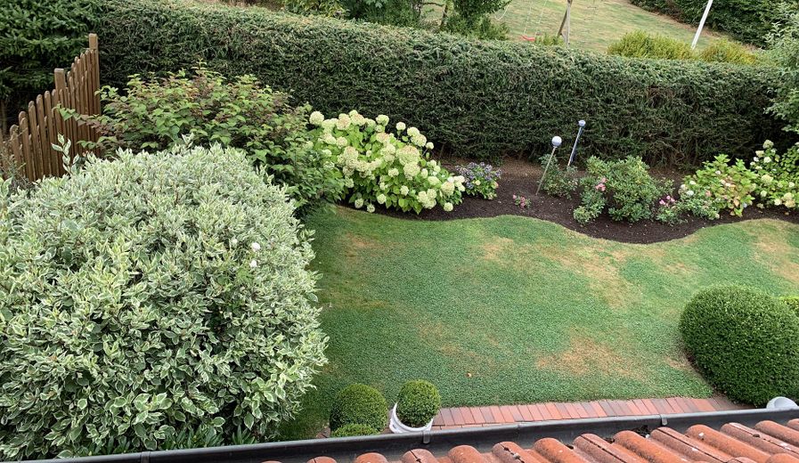 Teilansicht Garten ELW