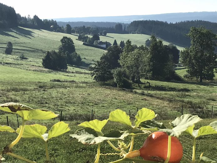 Haus für Individualisten + Genießer – EG Hokkaido + Balkon nach Süde