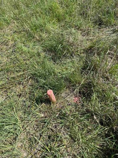 Grundstück in Oberkrämer: Ort der Ruhe und Erholung für Ihr Traumhaus! – Alle Medien auf dem Grundstück