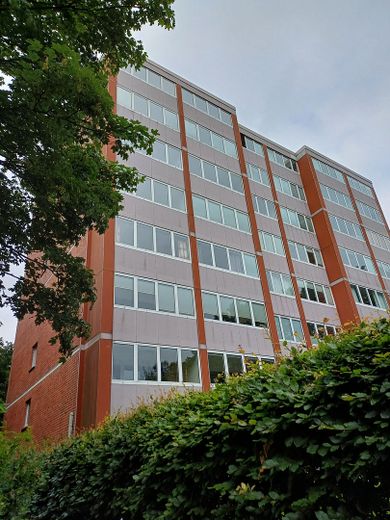 Außenansicht im Sommer