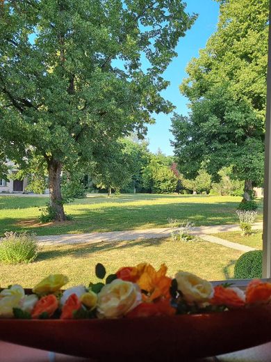 Blick v. Kaminzimmer i.d. Park