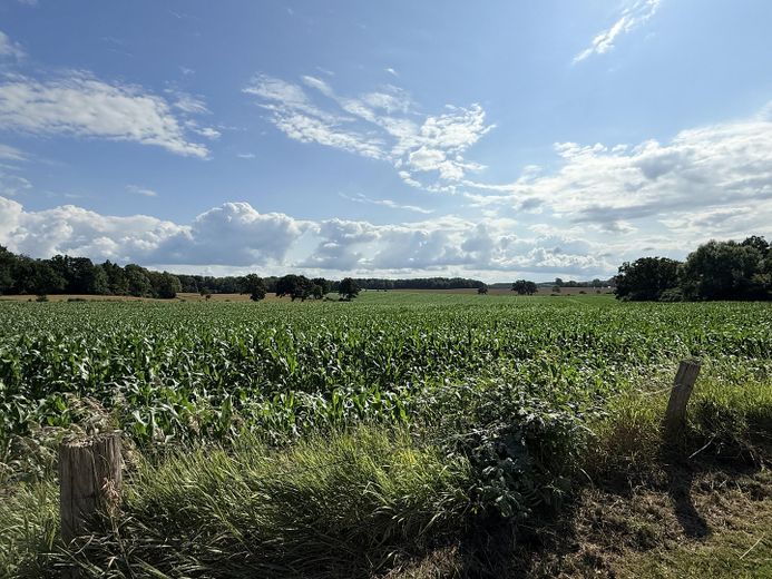 Naheliegende Natur