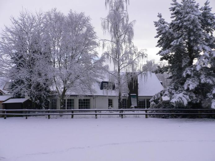 Freistehendes, individuelles  Architektenhaus mit separat gelegener Einliegerwohnung – Hausansicht hinten im Winter