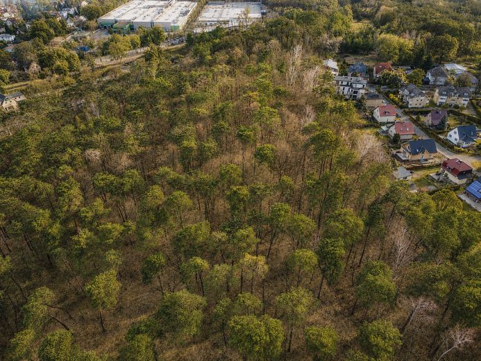5,6 % Rendite – Gewerberiegel mit 11 ha Wald in Reinickendorf – Waldstück