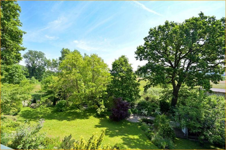Blick in den Garten