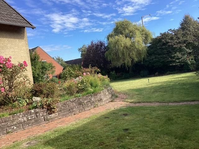 Blick in den Garten 1