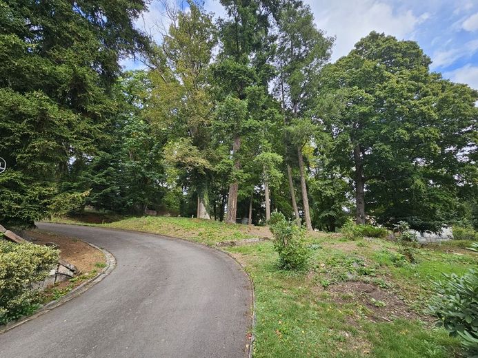 Schöne Grundstücke sind selten geworden: Bauplatz, 900 m² im Park mit altem Baumbestand - zugreifen! – 5264 - westlicher Bereich mit Zufahrt