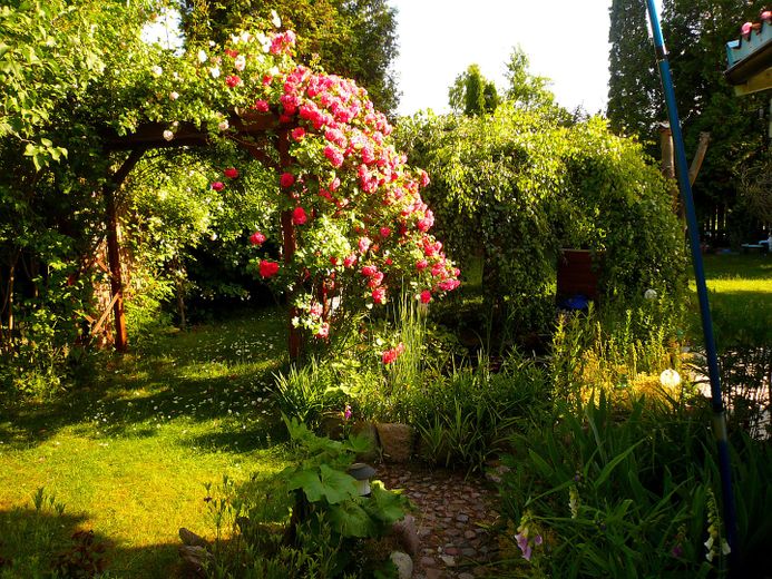 Idilliaca casa unifamiliare in stile bungalow con romantico giardino di rose – Foto 11