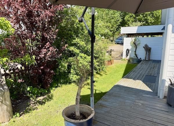 Ostumlaufende Terrasse