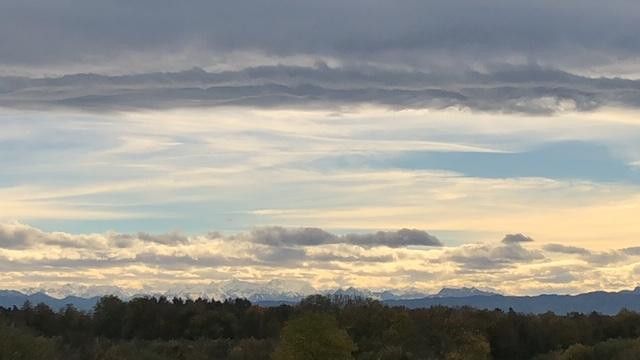 Ausblick 