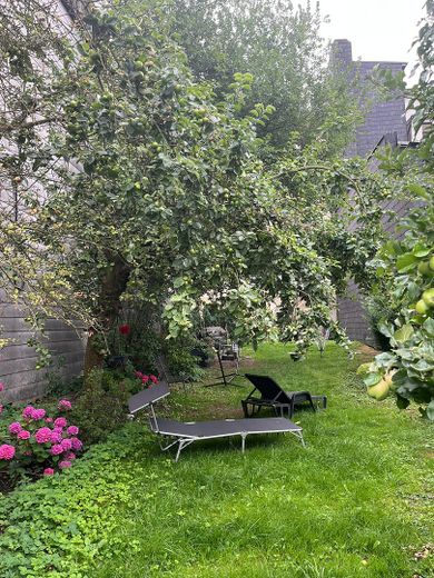 Vielseitiges Wohnhaus: Großfamilie oder 3×3-Zimmer-Wohnungen + Gewerbe & Garten – Garten