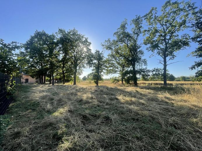 Grundstück im schönen Wiederau - Baupartner für Doppelhaus gesucht – Blick West