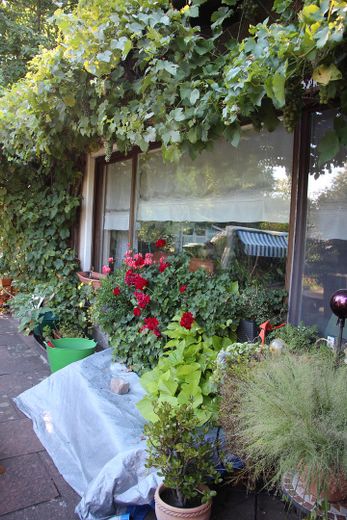 A breve termine: bungalow immerso nella natura in un ampio giardino – Foto 4