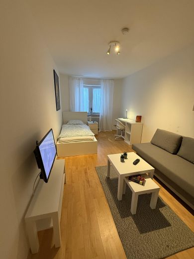 Helle,Schöne Wohnung Stadtmitte, Möbliert, Aufzug, Balkon – Foto 6
