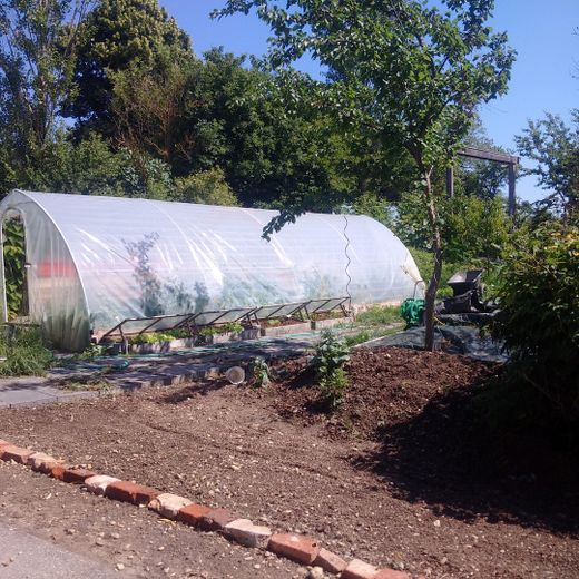 Gemüsegarten 