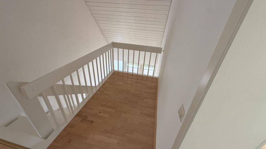 DG Galerie 