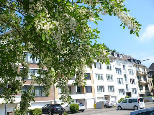 Grunerstraße