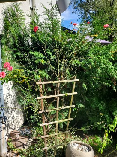 Apartamento amueblado con terraza soleada cerca del Havel, sin comisión – Foto 23
