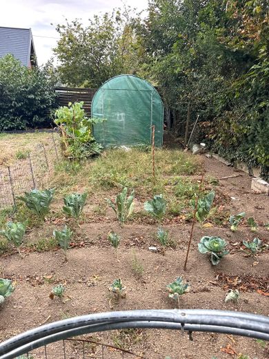 Vielseitiges Mehrfamilienhaus mit 3 Einheiten & attraktivem Baugrundstück – Garten