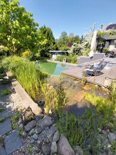 Blick in den Garten